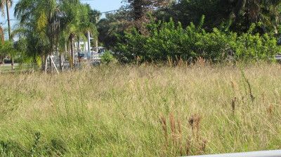 14 14th St, Haines City, FL 33844
